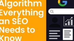 Google Algorithm : Everything an SEO needs to know