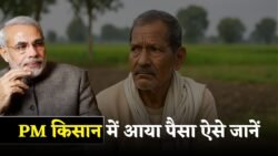 पीएम किसान योजना 21वीं किस्त ट्रांसफर शुरू – मोबाइल से ऐसे करें अपना अकाउंट चेक अभी